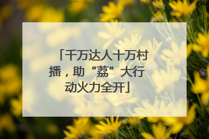 千万达人十万村播，助“荔”大行动火力全开