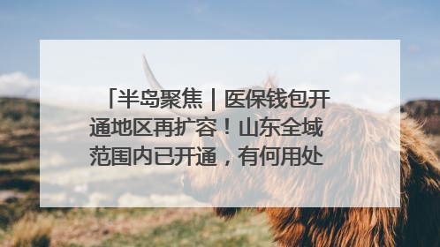 半岛聚焦｜医保钱包开通地区再扩容！山东全域范围内已开通，有何用处？如何操作？速戳→