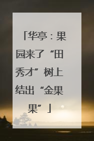 华亭：果园来了“田秀才”树上结出“金果果”