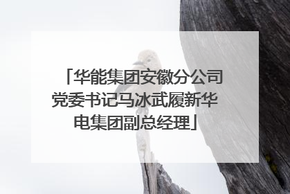 华能集团安徽分公司党委书记马冰武履新华电集团副总经理