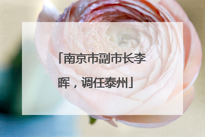 南京市副市长李晖，调任泰州