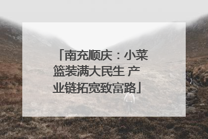 南充顺庆：小菜篮装满大民生 产业链拓宽致富路