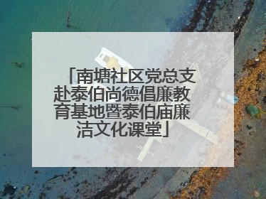 南塘社区党总支赴泰伯尚德倡廉教育基地暨泰伯庙廉洁文化课堂