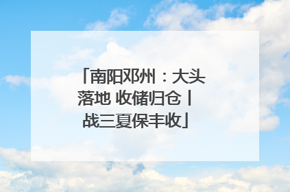 南阳邓州：大头落地 收储归仓丨战三夏保丰收