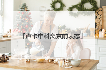 卢卡申科离京前表态
