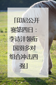 印尼公开赛第四日：李诗沣领衔 国羽多对组合冲击四强