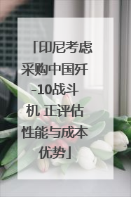印尼考虑采购中国歼-10战斗机 正评估性能与成本优势