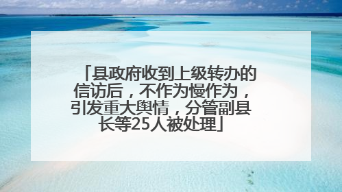 县政府收到上级转办的信访后，不作为慢作为，引发重大舆情，分管副县长等25人被处理