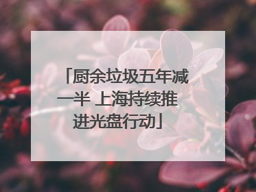 厨余垃圾五年减一半 上海持续推进光盘行动