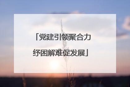 党建引领聚合力 纾困解难促发展