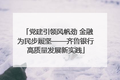 党建引领风帆劲 金融为民步履坚——齐鲁银行高质量发展新实践