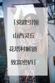 党建引领 山西灵丘花塔村解锁致富密码