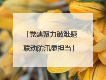 党建聚力破难题 联动防汛显担当