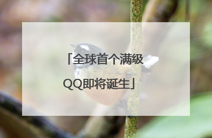 全球首个满级QQ即将诞生