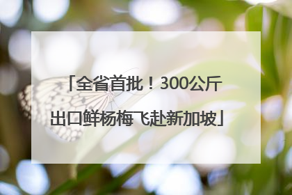 全省首批！300公斤出口鲜杨梅飞赴新加坡