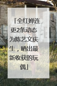 全红婵连更2条动态为陈艺文庆生，晒出最新收获的玩偶