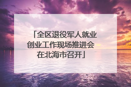 全区退役军人就业创业工作现场推进会在北海市召开