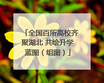 全国百所高校齐聚湖北 共绘升学蓝图（组图）