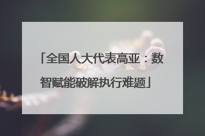 全国人大代表高亚：数智赋能破解执行难题