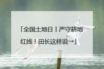 全国土地日丨严守耕地红线！田长这样说→