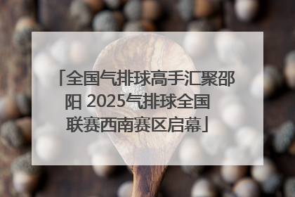 全国气排球高手汇聚邵阳 2025气排球全国联赛西南赛区启幕