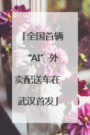 全国首辆“AI”外卖配送车在武汉首发