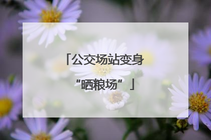 公交场站变身“晒粮场”