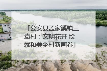 公安县孟家溪镇三袁村：文明花开 绘就和美乡村新画卷