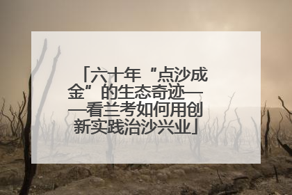 六十年“点沙成金”的生态奇迹——看兰考如何用创新实践治沙兴业