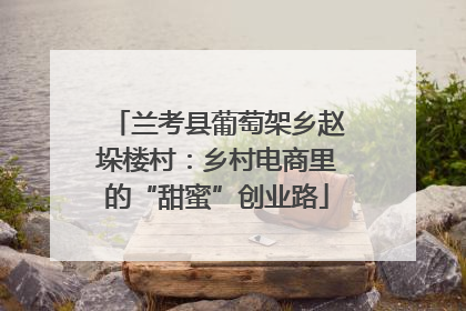 兰考县葡萄架乡赵垛楼村：乡村电商里的“甜蜜”创业路
