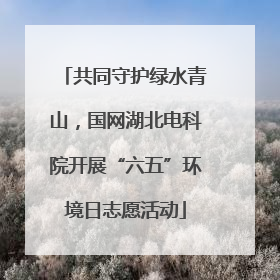 共同守护绿水青山，国网湖北电科院开展“六五”环境日志愿活动