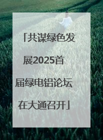 共谋绿色发展2025首届绿电铝论坛在大通召开