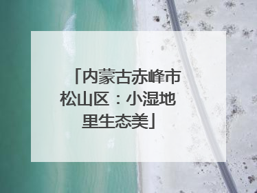 内蒙古赤峰市松山区：小湿地里生态美