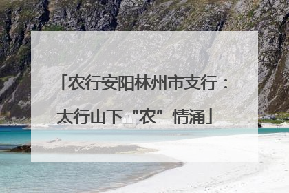 农行安阳林州市支行：太行山下“农”情涌