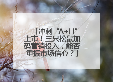 冲刺“A+H”上市！三只松鼠加码营销投入，能否重振市场信心？