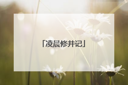 凌晨修井记