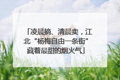 凌晨摘、清晨卖，江北“杨梅自由一条街”藏着最甜的烟火气