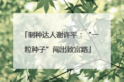 制种达人谢许平：“一粒种子”闯出致富路