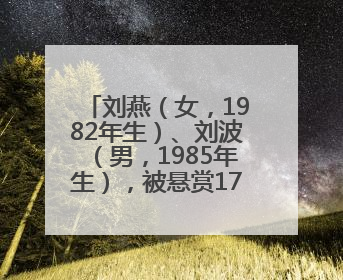 刘燕（女，1982年生）、刘波（男，1985年生），被悬赏174万元