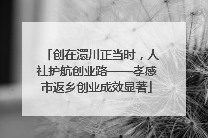 创在澴川正当时，人社护航创业路——孝感市返乡创业成效显著
