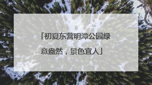 初夏东营明潭公园绿意盎然，景色宜人
