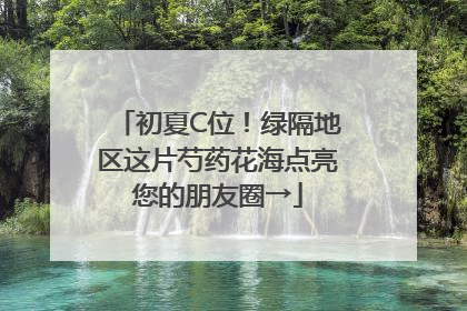 初夏C位！绿隔地区这片芍药花海点亮您的朋友圈→