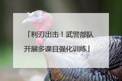 利刃出击！武警部队开展多课目强化训练
