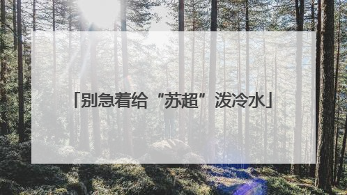 别急着给“苏超”泼冷水