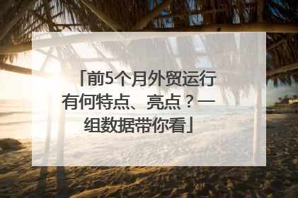 前5个月外贸运行有何特点、亮点？一组数据带你看
