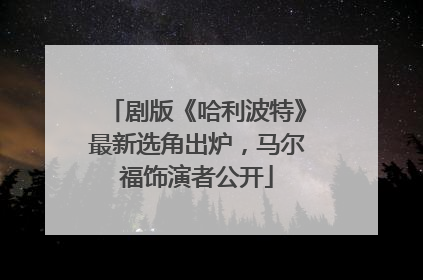 剧版《哈利波特》最新选角出炉，马尔福饰演者公开