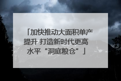 加快推动大面积单产提升 打造新时代更高水平“洞庭粮仓”