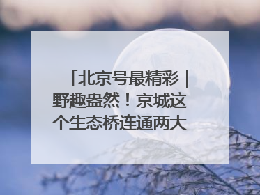 北京号最精彩｜野趣盎然！京城这个生态桥连通两大网红公园