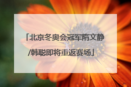 北京冬奥会冠军隋文静/韩聪即将重返赛场