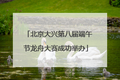北京大兴第八届端午节龙舟大赛成功举办